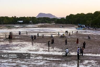 تصویر 7