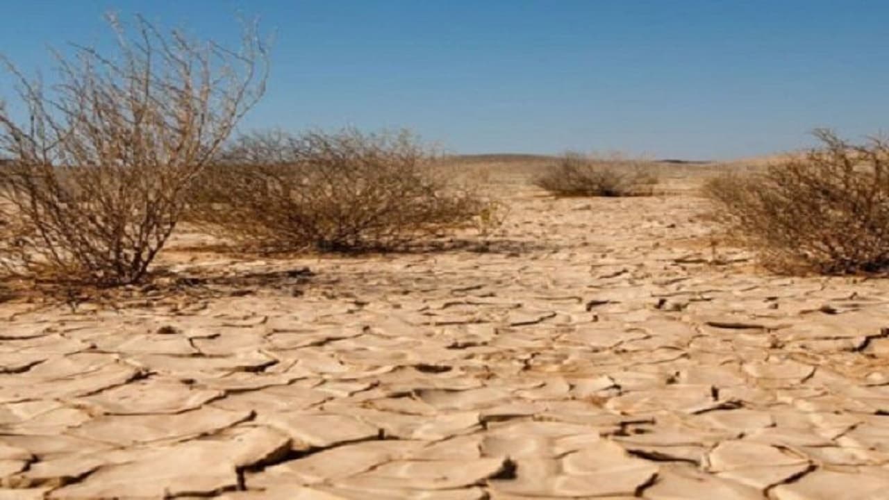 تلاشهای ۵۰ ساله برای مهار بیابان در البرز