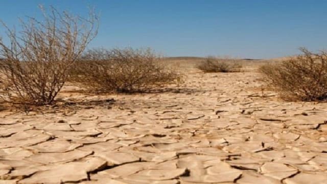 تلاش‌های ۵۰ ساله برای مهار بیابان در البرز