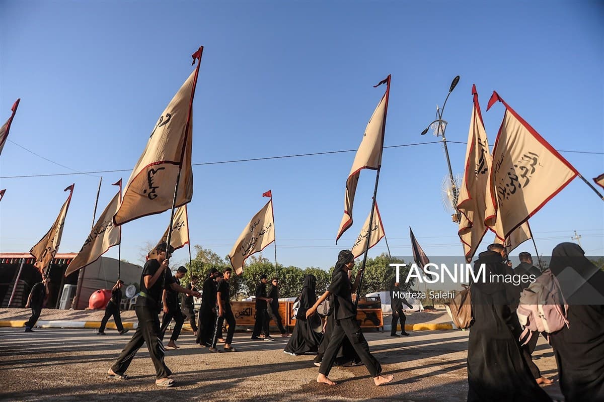 تصویر 8