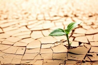 سخنگوی صنعت آب کشور: هنوز در تهران، کرج، مشهد، اراک و ساوه نیاز به مدیریت مصرف داریم