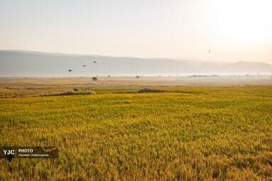 تصویر 26