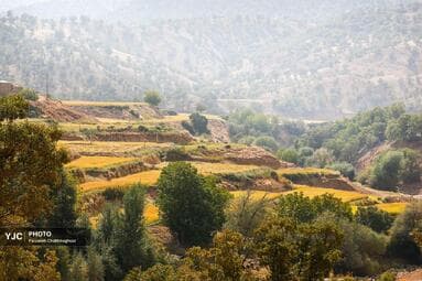 تصویر 27