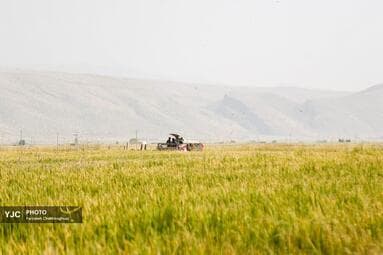 تصویر 25