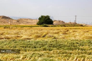 تصویر 16