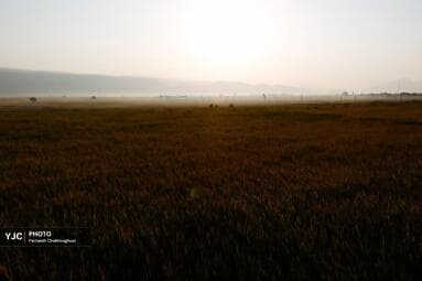 تصویر 3