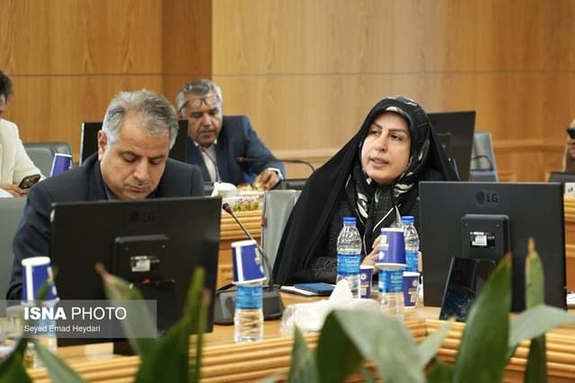 رئیس کمیسیون انرژی اتاق بازرگانی خراسان رضوی مطرح کرد ناترازی گاز می‌تواند به تشدید کمبود برق و محدودیت صنایع منجر شود