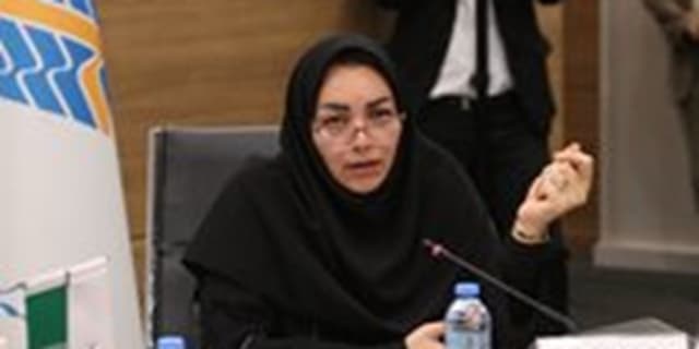 تاثیرپذیری شدید ایران از تغییر اقلیم/ نشانی از مقابله با این پدیده در برنامه هفتم نمی‌بینیم | انرژی نویس