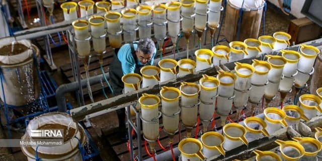 کم‌آبی، بازسازی ذخایر ماهیان استخوانی را درگیلان تهدید می‌کند | انرژی نویس