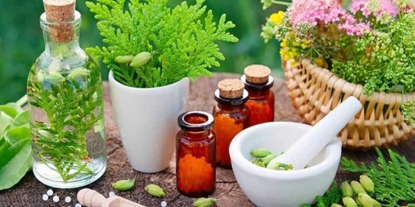 ضوابط جدید صادرات گیاهان دارویی اعلام شد | انرژی نویس