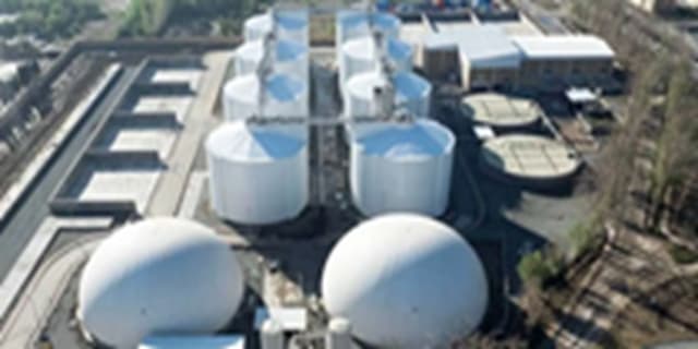 انرژی زیستتوده بزرگترین منبع انرژی تجدیدپذیر جهان است/ روند شتابان تولید انرژی زیست توده در جهان | انرژی نویس