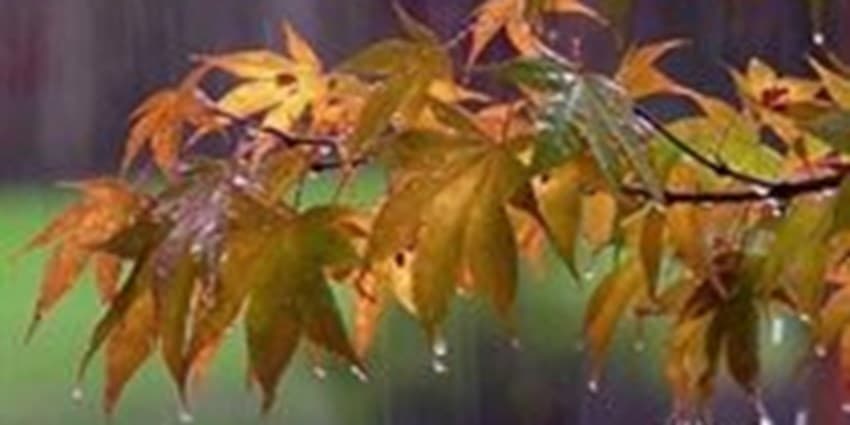 رشد ۱۷ درصدی میزان بارش‌ها نسبت به سال آبی گذشته | انرژی نویس