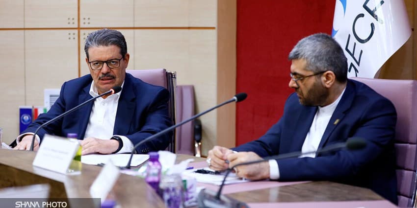 جی‌ئی‌سی‌اف باید رویکردهای پرریسک بازار گاز را پیگیری کند | انرژی نویس