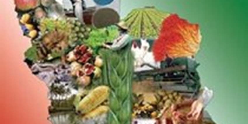 سند امنیت غذایی و چالش‌های پیش‌روی آن | انرژی نویس