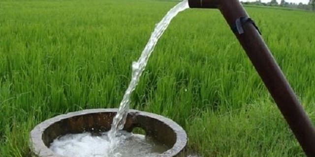 بحران خشکسالی در فارس؛ افزایش ۵۰درصدی کشت‌های آب‌بر | انرژی نویس