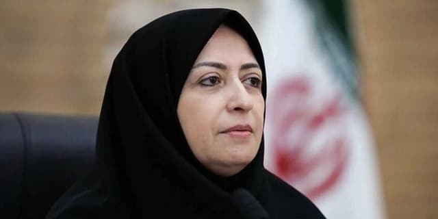رئیس سازمان حفاظت محیط زیست منصوب شد | انرژی نویس