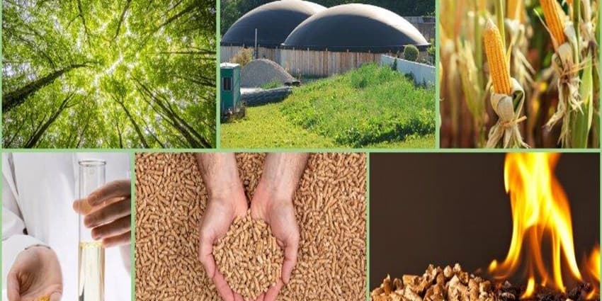 کشورهایی با بیشترین میزان تولید سوخت زیستی جهان | انرژی نویس