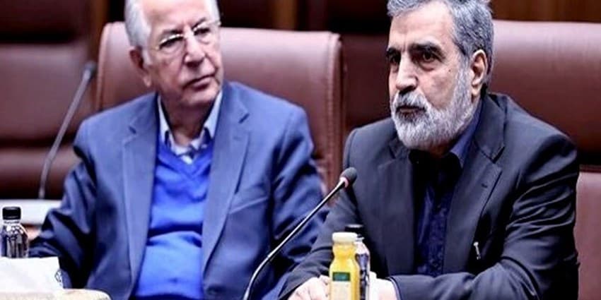 صرفه جویی در مصرف ۱۳ میلیون بشکه نفت با برق هستهای | انرژی نویس
