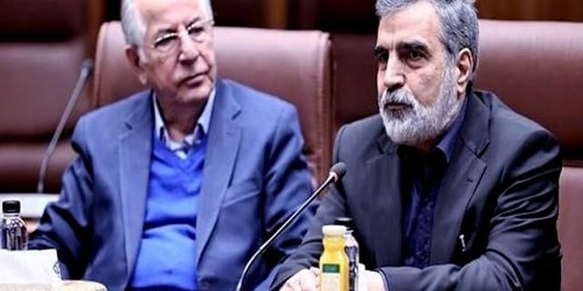 صرفه جویی در مصرف ۱۳ میلیون بشکه نفت با برق هسته‌ای | انرژی نویس
