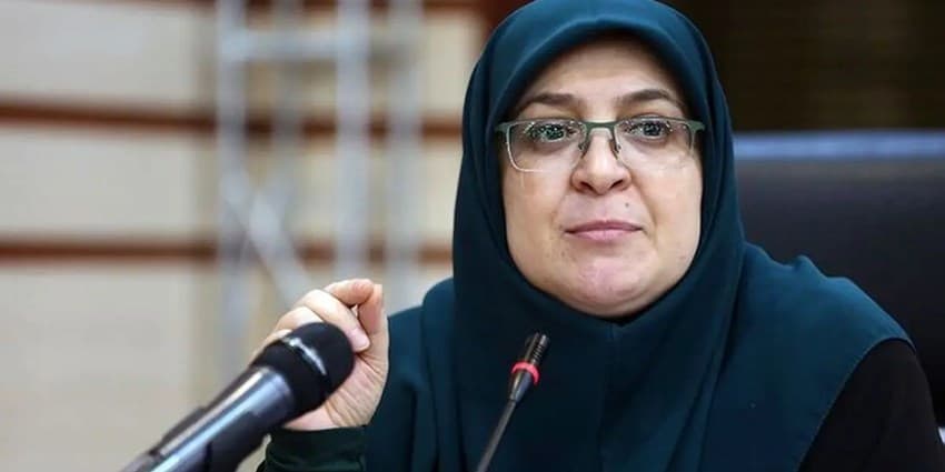 مهاجرانی: سرمایه‌گذاری برای تولید ۲۵۰ هزار بشکه نفت در روز به تصویب رسید | انرژی نویس