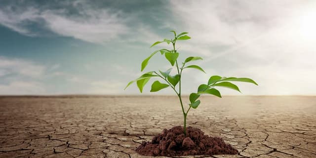 پیشنهادی برای مدیریت بحران آب / عوامل اصلی تهدید امنیت غذایی چیست؟ | انرژی نویس