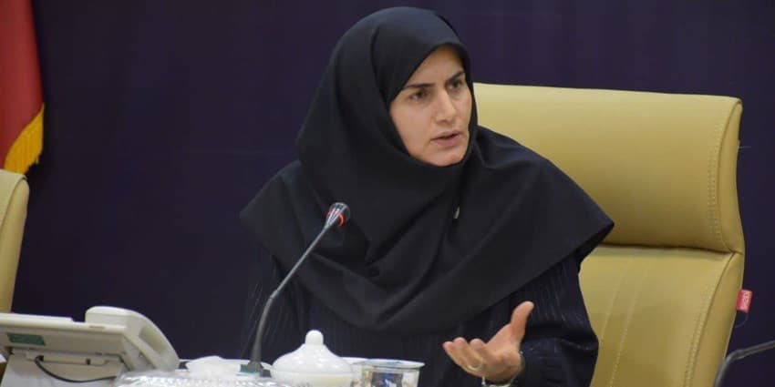 تأخیر در تأمین ارز، مانع اصلی پیشرفت پروژههای خورشیدی است | انرژی نویس