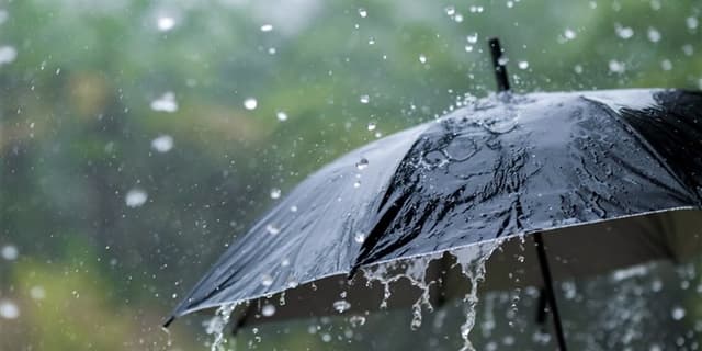 در تهران هم بالاخره باران بارید | انرژی نویس