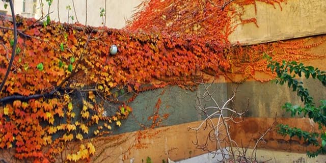 کاهش دما تا 8 درجه در شمال شرق کشور | انرژی نویس