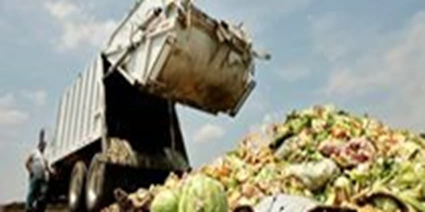سهم 72 درصدی کشاورزی از مصرف آب شیرین دنیا/ یکسوم محصولات ایران به ضایعات تبدیل میشود | انرژی نویس