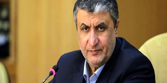 رئیس سازمان انرژی اتمی ابقا شد | انرژی نویس