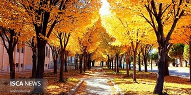 پیشبینی فرارسیدن دیرهنگام پاییز در سال جاری / هوا خنک میشود؟ | انرژی نویس