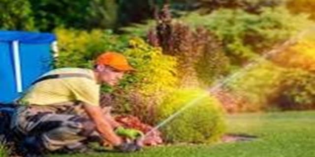 درخواست ازوزارت نیرو برای اختصاص پساب تصفیهخانه جهت آبیاری فضای سبز/بحران آبیاری فضای سبز در۲۰۰شهر | انرژی نویس