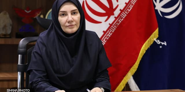 معاون توسعه مدیریت و سرمایه انسانی وزارت نفت منصوب شد | انرژی نویس