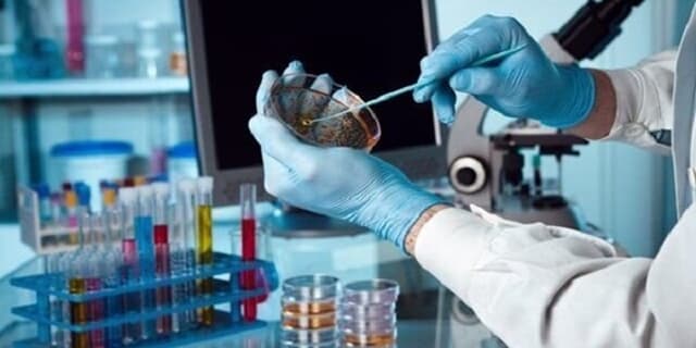 فراخوان چهاردهم گرنت پژوهشی مؤسسه ملی توسعه تحقیقات علوم پزشکی | انرژی نویس